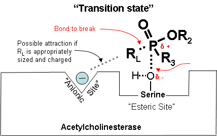 transition state