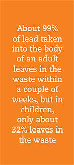 lead_and_the_body_2.jpg_fa7e8 Lead and the Body