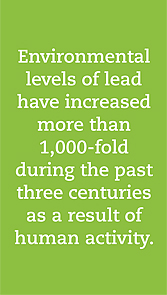 lead_and_the_environment_2.jpg_eb623 Lead and the Environment