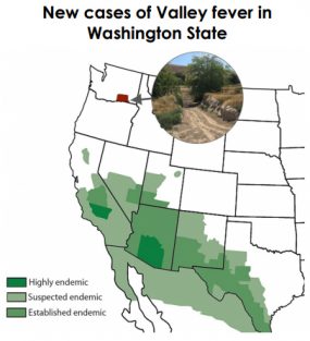 A map of the endemic areas where Coccidioides fungus is found, primarily in the southwestern US. A small rectangular section colored in red in Washington State shows where they have found new cases.