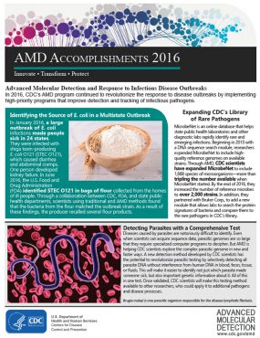 thumbnail version of AMD Accomplishments 2016 - back page