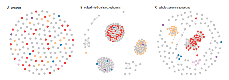Figure 1 shows unsorted dots with multiple colors. Figure 2 shows dots sorted into groupings that are mostly one color but other colors are mized in. Figure 3 has clusters of dots that are more accurately sorted by color with only a few colors in the wrong place.
