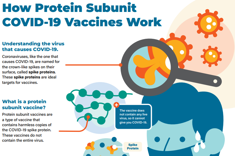 Understanding How COVID 19 Vaccines Work CDC