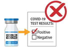 None of the authorized and recommended COVID-19 vaccines can cause you to test positive on viral tests