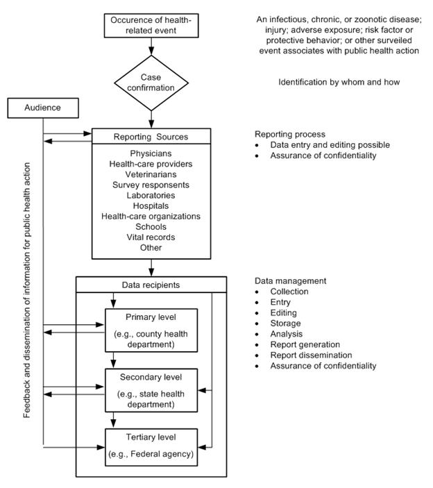 Flow chart of surveillance data shows case confirmation, reporting sources, and data recipients.