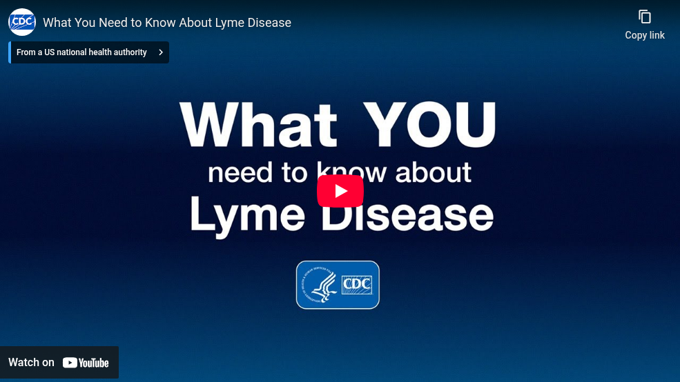 What You Need to Know About Lyme Disease