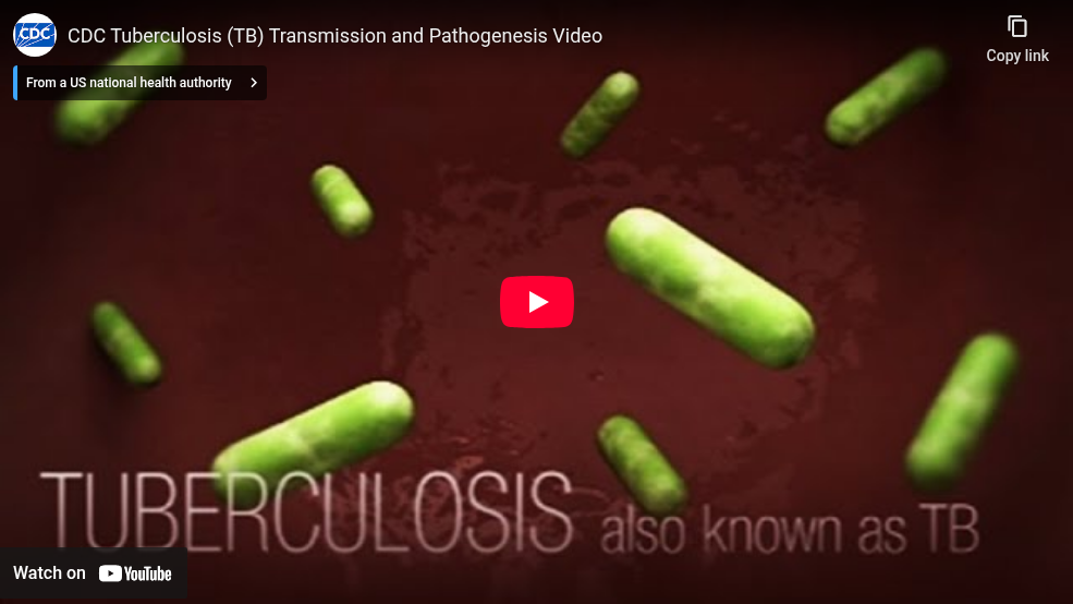 CDC Tuberculosis (TB) Transmission and Pathogenesis Video