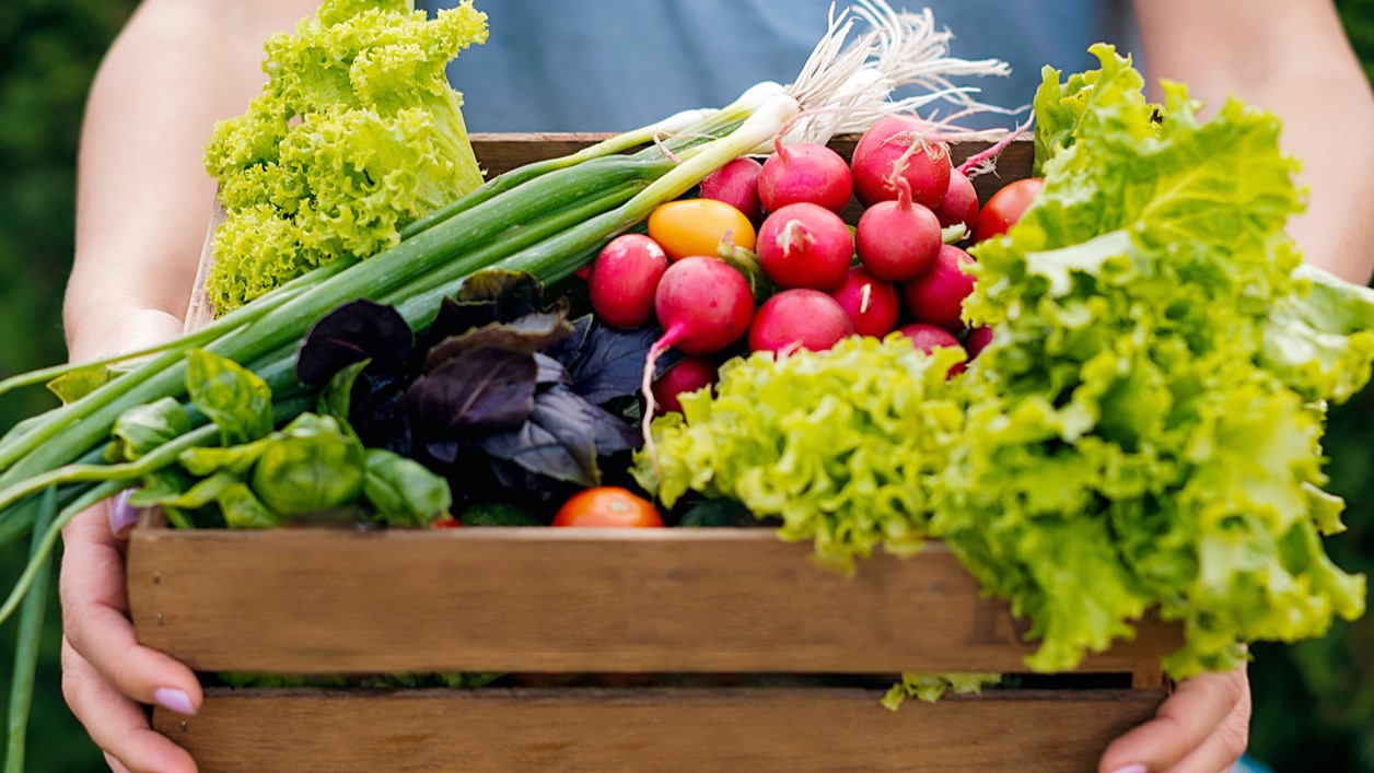 Adult holding wooden box full of fresh vegetables.