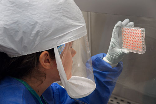 A CDC scientist measures the amount of H7N9 virus that has been grown and harvested in CDC%26rsquo;s laboratory