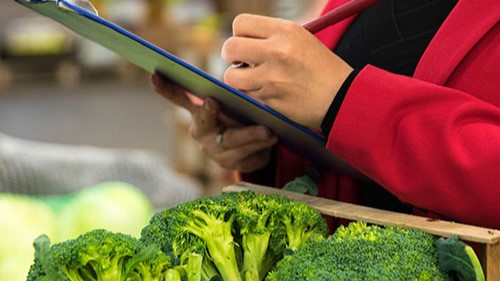 Woman collecting procurement data