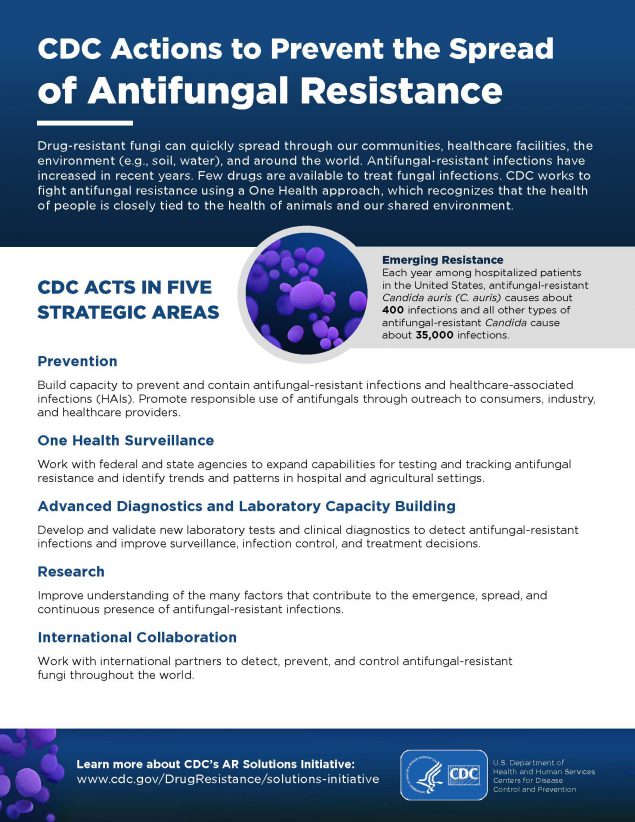 Fact Sheets Candida Auris Fungal Diseases Cdc 