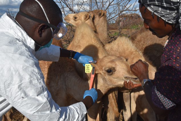 nnovative Tracking of Zoonotic Diseases