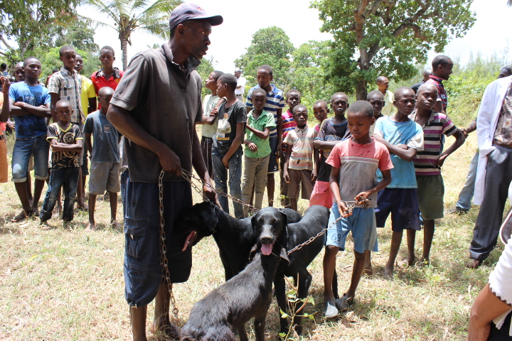 Kenya makes great strides towards Rabies Elimination