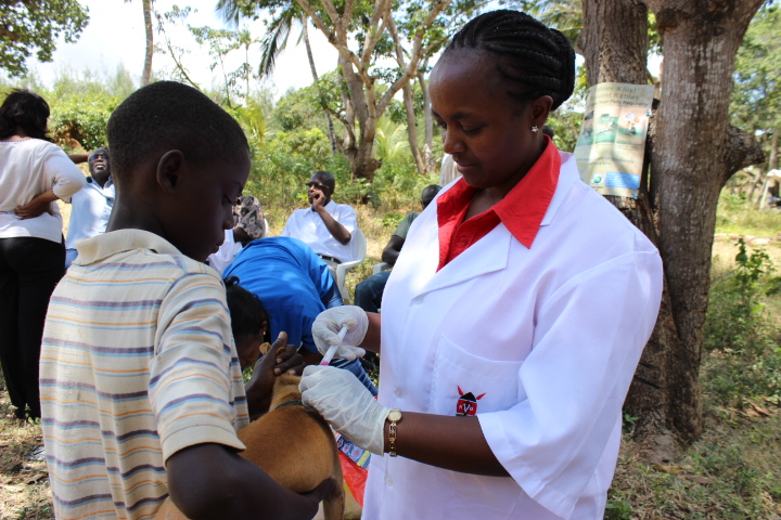 Kenya makes great strides towards Rabies Elimination