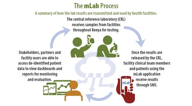 The mLab process