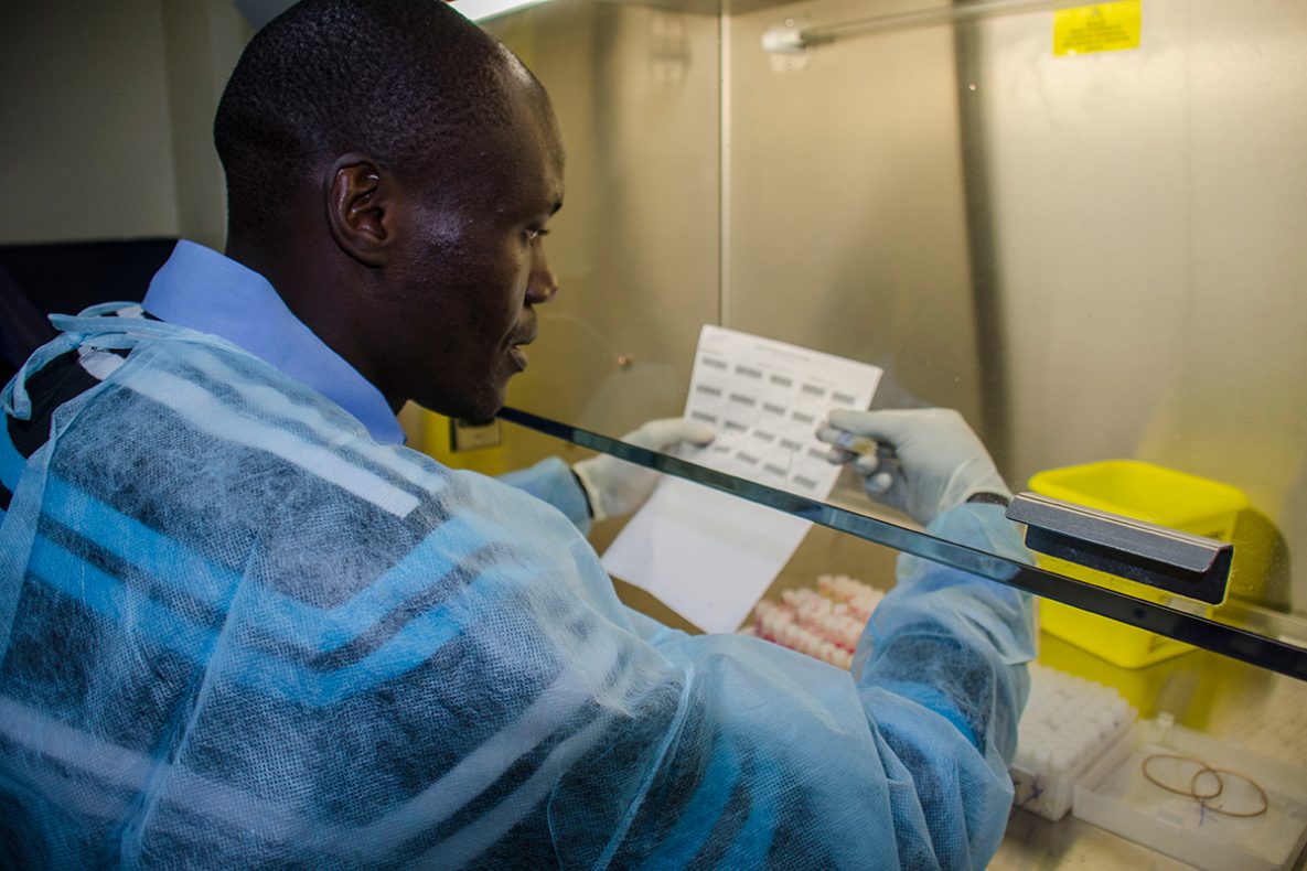 Laboratory Worker Reading Results