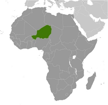 CDC in Niger