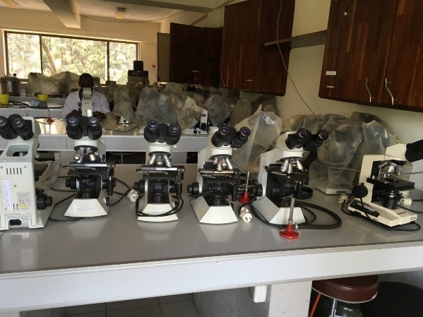 Some of the 28 student microscopes bought under the project.  Photo courtesy of J.Gafirita/KHI project.