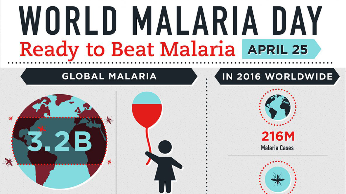 world malaria day infographic