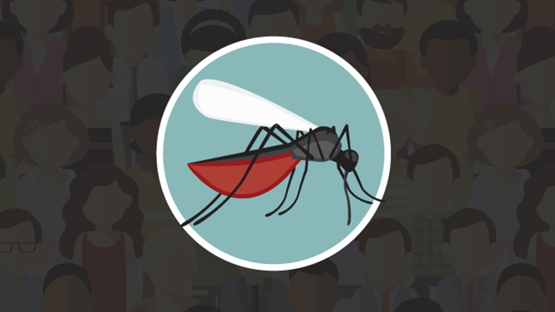 World Mosquito Day August 20th graphic