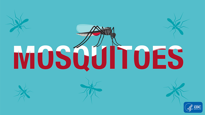 World Mosquito Day August 20th video