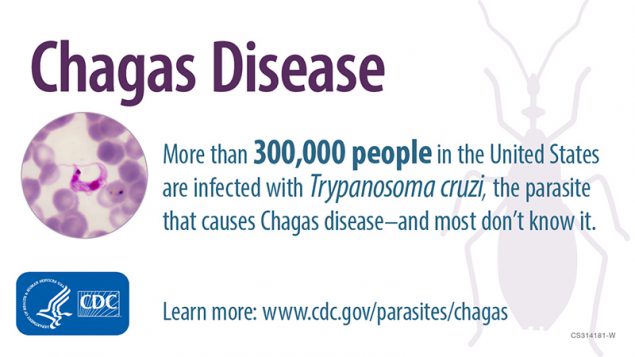 An estimated 300,000 U.S. residents are infected with the parasite that causes Chagas disease.