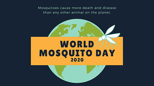 Mosquitoes cause more death and disease than any other animal on the planet.