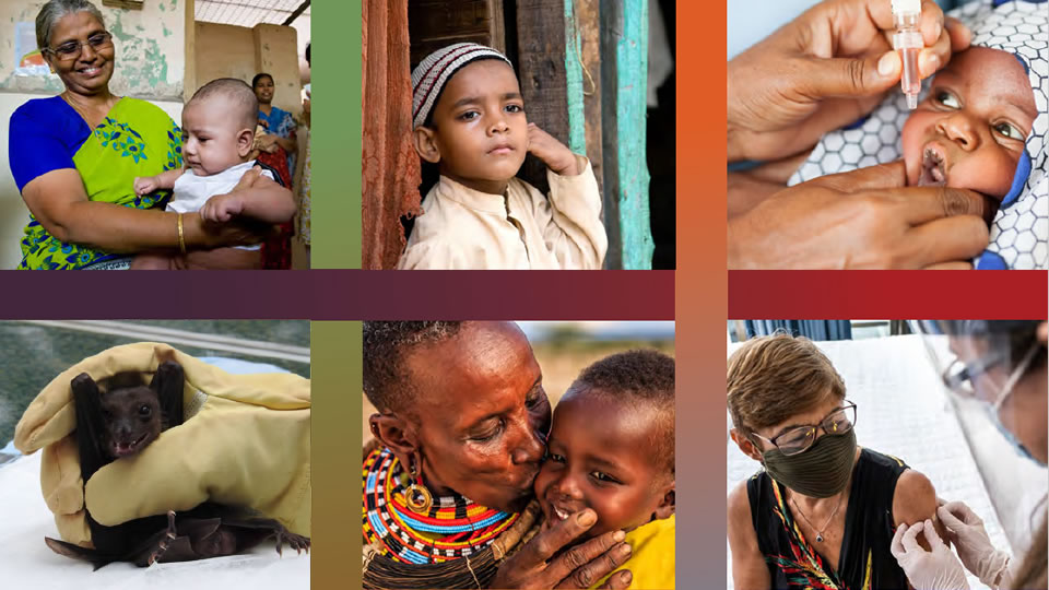 CDC Global Immunization Strategic Framework