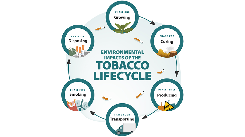 Environmental Impacts of the Tobacco Lifecycle
