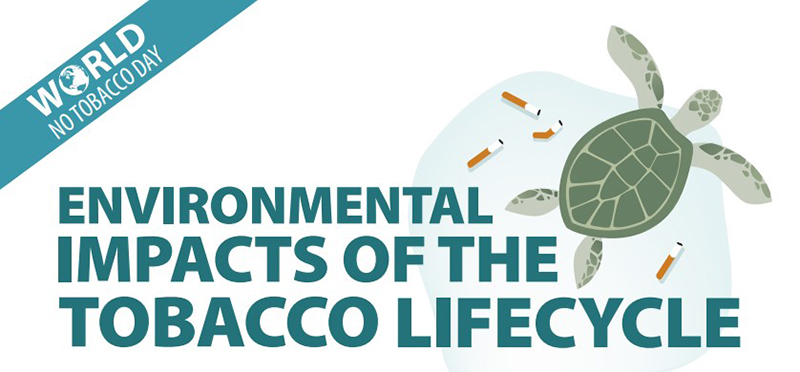Environmental impacts of the tobacco lifecycle - Turtle with Cigarette butts graphic