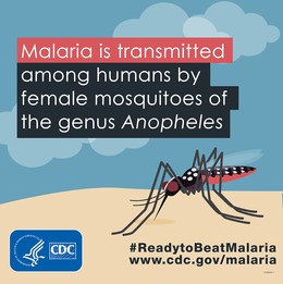 malaria infographic