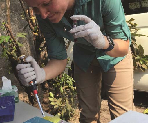 Dr. Aimee Summers preparing whole blood samples for DMF-ELISA at a Health Center in Biyela,  Kinshasa Province, DRC. Credit: Alaine Knipes.