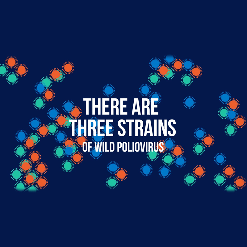 World Polio Day