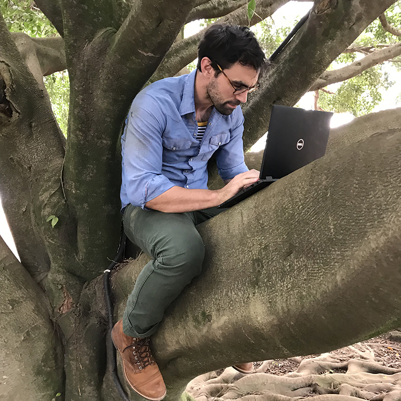 Sayre.tree – EIS Officer Dean Sayre finds an alternative workspace outside the CDC office in Goma during his July-August deployment to the DRC.