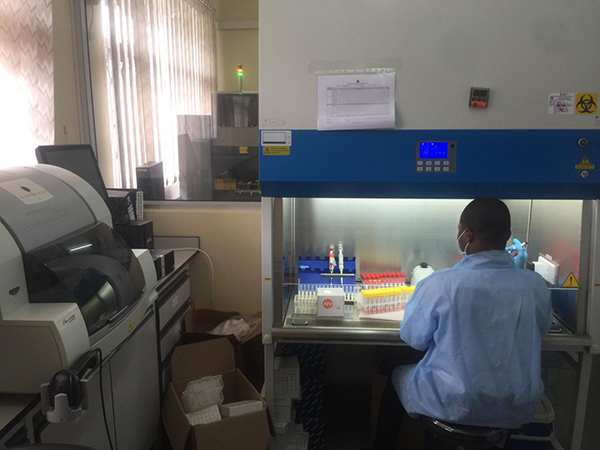 HIV National Reference laboratory: lab technologist preparing dried blood samples for HIV viral load test. Photo credit: Taziona Ntonya