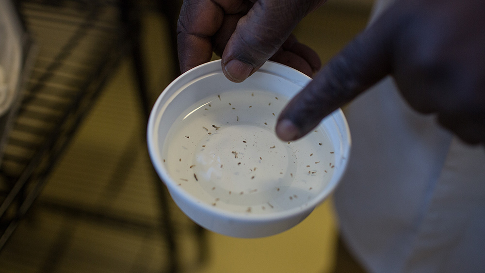 Mozambique’s National Institute of Health  Medical Entomology Laboratory