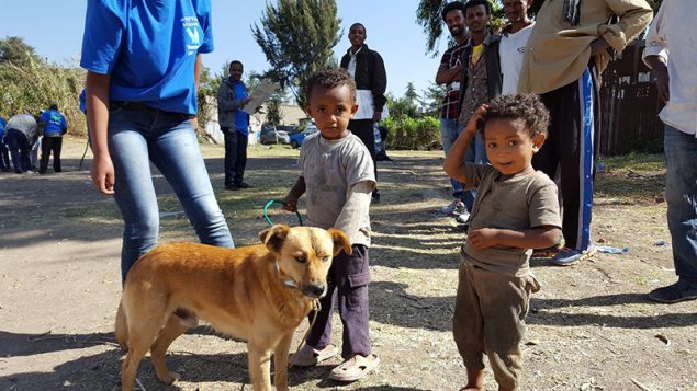 Boy with his dogs at a mass vaccination event in Addis Ababa, December 2016.