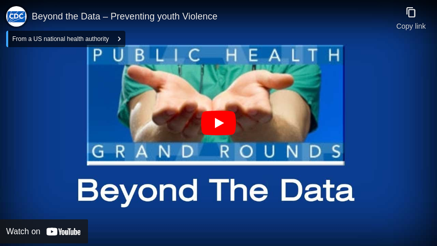 Beyond the Data – Preventing Youth Violence