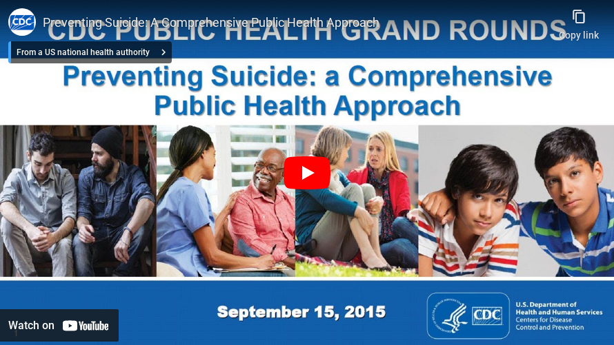 Preventing Suicide: A Comprehensive Public Health Approach