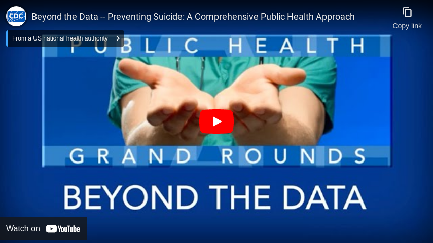 Beyond the Data -- Preventing Suicide: A Comprehensive Public Health Approach