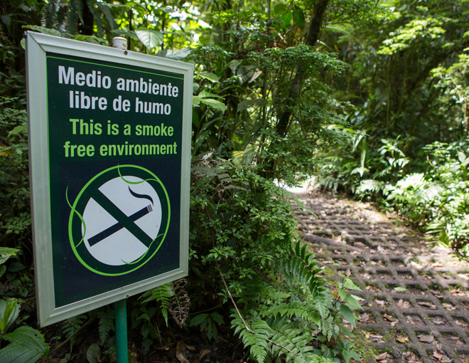 Photo of sign: This is a smoke free environment.