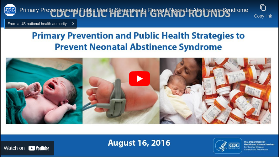 Primary Prevention and Public Health Strategies to Prevent Neonatal Abstinence Syndrome