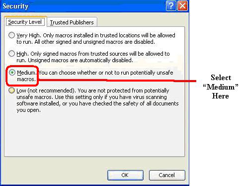 Displays the Security Level Sub-Command, which is found under the Macro's Tool menu.  One should select the option of Medium to ensure that the Macros will run at all times.