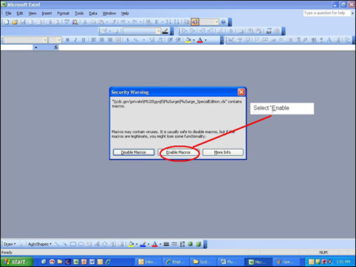 Picture displaying how the user will enable to macros that are needed to run the FluSurge Special Edition software tool.