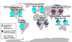 This picture depicts a map of the world that shows the co-circulation of 2009 H1N1 flu and seasonal influenza viruses. The United States, Ecuador, Europe, Kenya, China and Hong Kong (China) are depicted. There is a pie chart for each that shows the percentage of laboratory confirmed influenza cases that have tested positive for either 2009 H1N1 flu or other influenza subtypes. The majority of laboratory confirmed influenza cases reported in the United States, Ecuador, Europe and Hong Kong (China) are currently due to 2009 H1N1 influenza virus. However, the majority of laboratory confirmed influenza cases reported in China and Kenya are positive for other influenza subtypes.