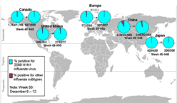 This picture depicts a map of the world that shows the co-circulation of 2009 H1N1 flu and seasonal influenza viruses. The United States, Canada, Europe, Japan and China are depicted. There is a pie chart for each that shows the percentage of laboratory confirmed influenza cases that have tested positive for either 2009 H1N1 flu or other influenza subtypes. The majority of laboratory confirmed influenza cases reported in the United States, Canada, Europe, Japan and China have been 2009 H1N1 flu.

