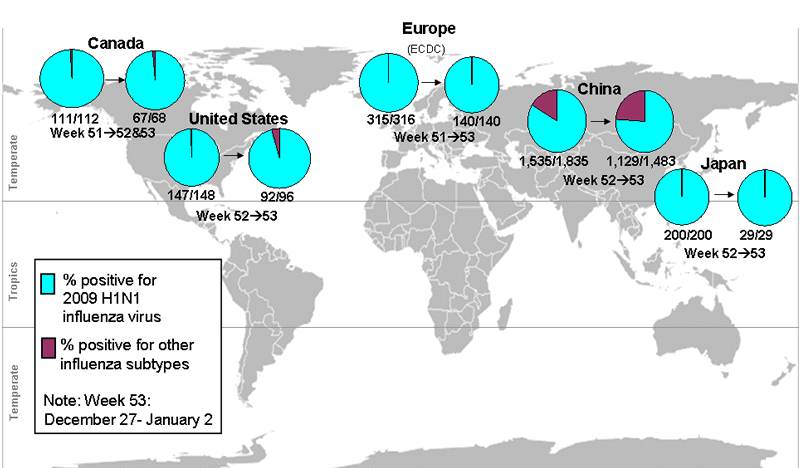 This picture depicts a map of the world that shows the co-circulation of 2009 H1N1 flu and seasonal influenza viruses. The United States, Canada, Europe, Japan and China are depicted. There is a pie chart for each that shows the percentage of laboratory confirmed influenza cases that have tested positive for either 2009 H1N1 flu or other influenza subtypes. The majority of laboratory confirmed influenza cases reported in the United States, Canada, Europe, Japan and China have been 2009 H1N1 flu.