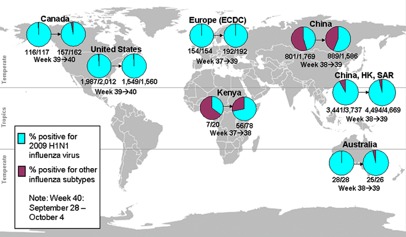 This picture depicts a map of the world that shows the co-circulation of 2009 H1N1 flu and seasonal influenza viruses. The United States, Canada, Europe, Australia, Vietnam, Kenya, China and Hong Kong (China) are depicted. There is a pie chart for each that shows the percentage of laboratory confirmed influenza cases that have tested positive for either 2009 H1N1 flu or other influenza subtypes. The majority of laboratory confirmed influenza cases reported in the latest week for the United States, Canada, Europe, Australia, Vietnam, Kenya, Hong Kong (China), and China are currently due to 2009 H1N1 influenza virus. 
