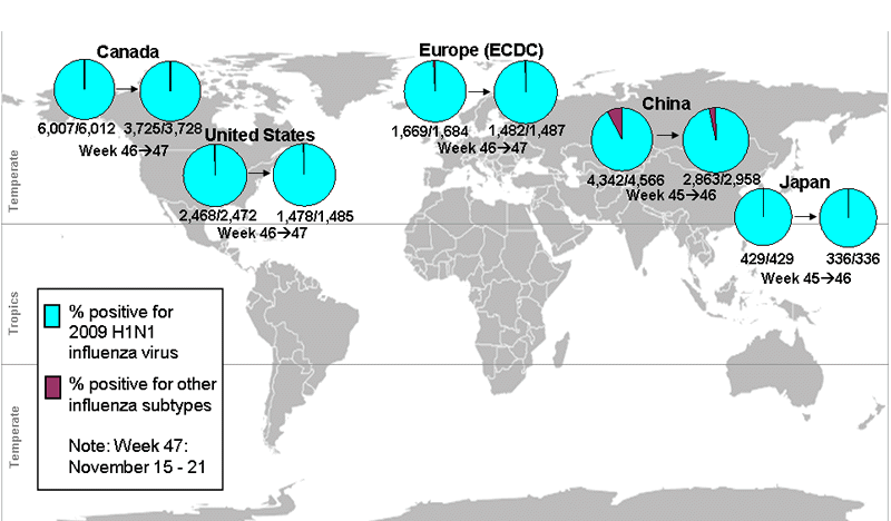 This picture depicts a map of the world that shows the co-circulation of 2009 H1N1 flu and seasonal influenza viruses. The United States, Canada, Europe, Japan and China are depicted. There is a pie chart for each that shows the percentage of laboratory confirmed influenza cases that have tested positive for either 2009 H1N1 flu or other influenza subtypes. The majority of laboratory confirmed influenza cases reported in the United States, Canada, Europe, Japan and China have been 2009 H1N1 flu.
