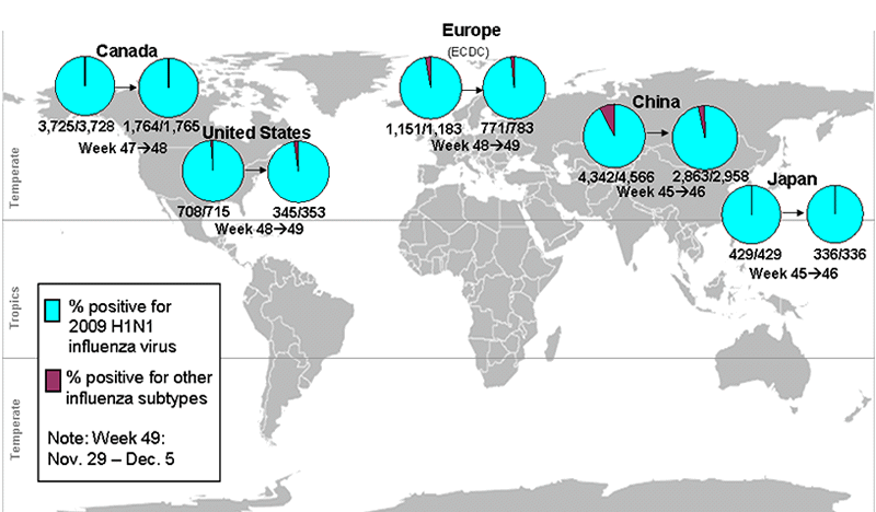 This picture depicts a map of the world that shows the co-circulation of 2009 H1N1 flu and seasonal influenza viruses. The United States, Canada, Europe, Japan and China are depicted. There is a pie chart for each that shows the percentage of laboratory confirmed influenza cases that have tested positive for either 2009 H1N1 flu or other influenza subtypes. The majority of laboratory confirmed influenza cases reported in the United States, Canada, Europe, Japan and China have been 2009 H1N1 flu.


